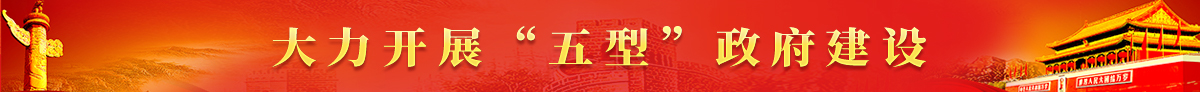 大力开展五型政府建设